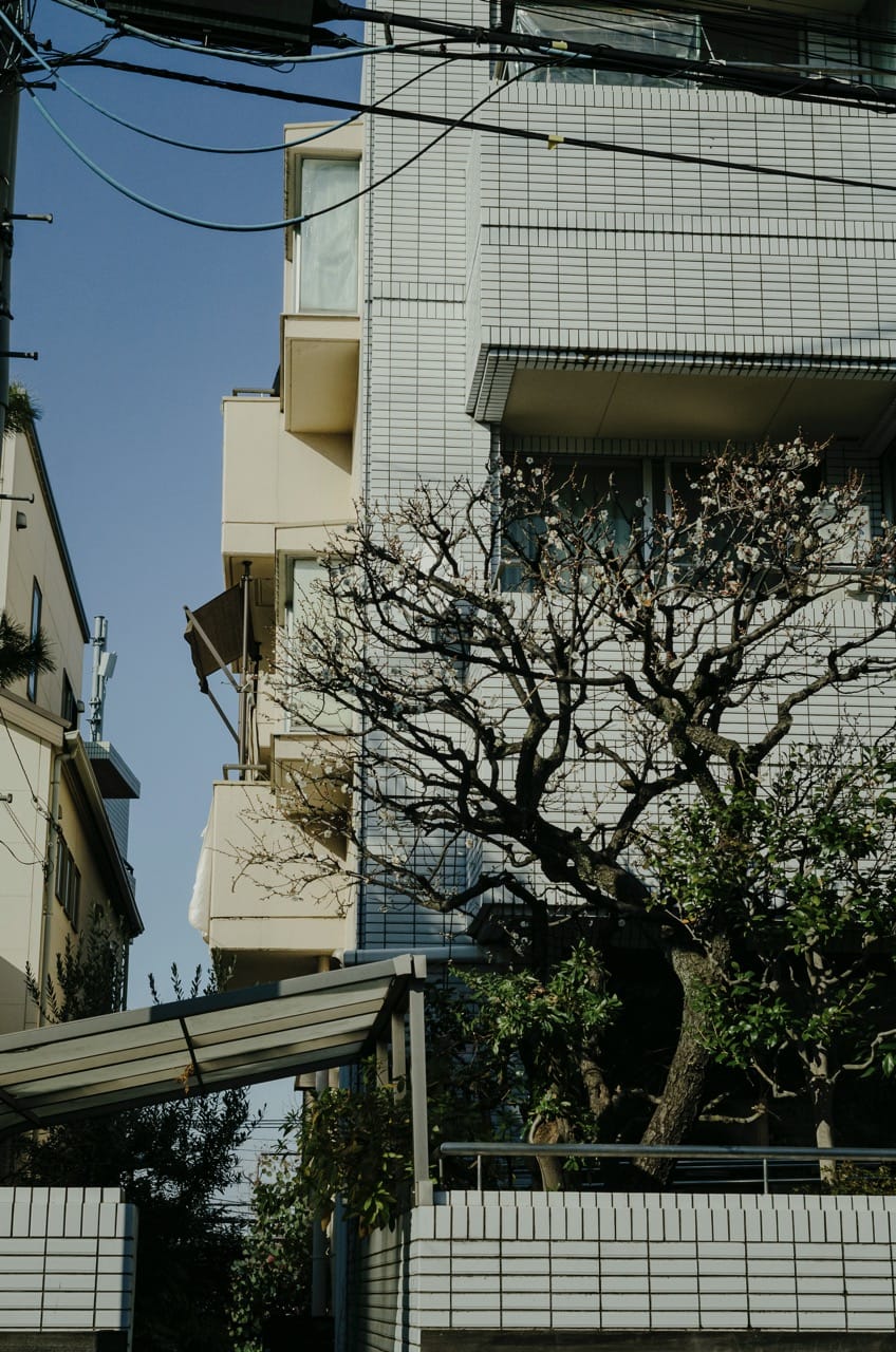 Превью Tokyo 2024